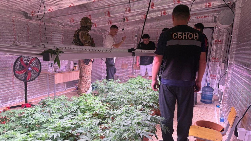 Иллюстративное фото