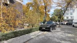 «Рендж Ровер» стоит на аллее. Видео