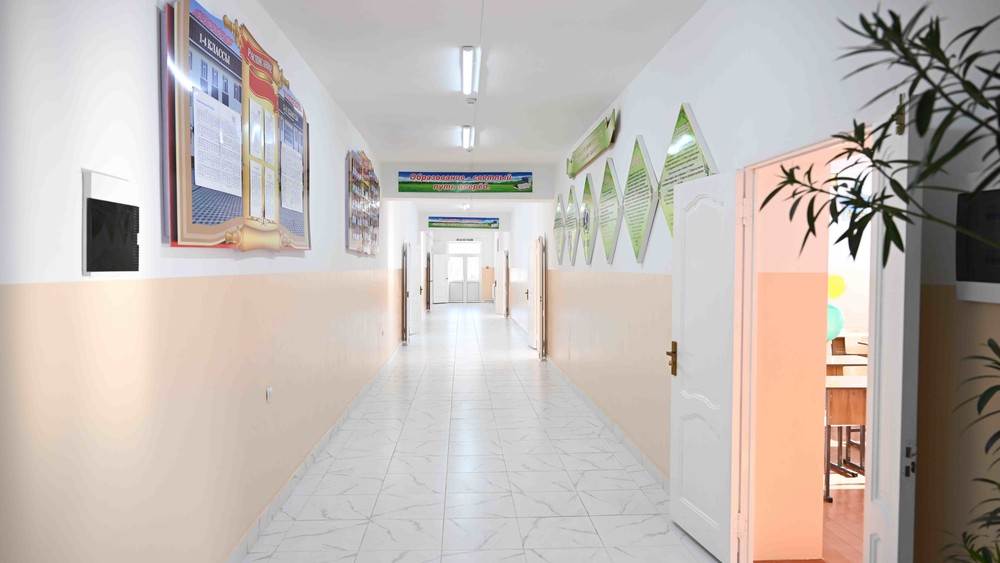 Иллюстративное фото