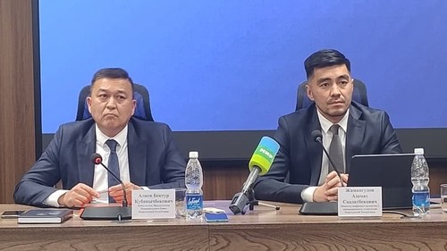 цифровое развитие