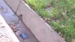 Из колодца на Айни течет вода. Видео