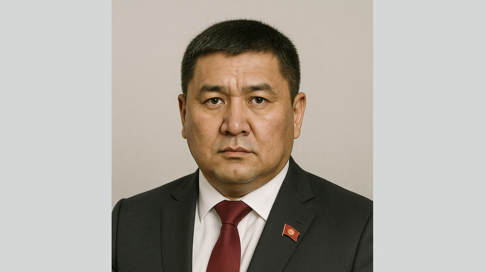 Иллюстрациялык сүрөт