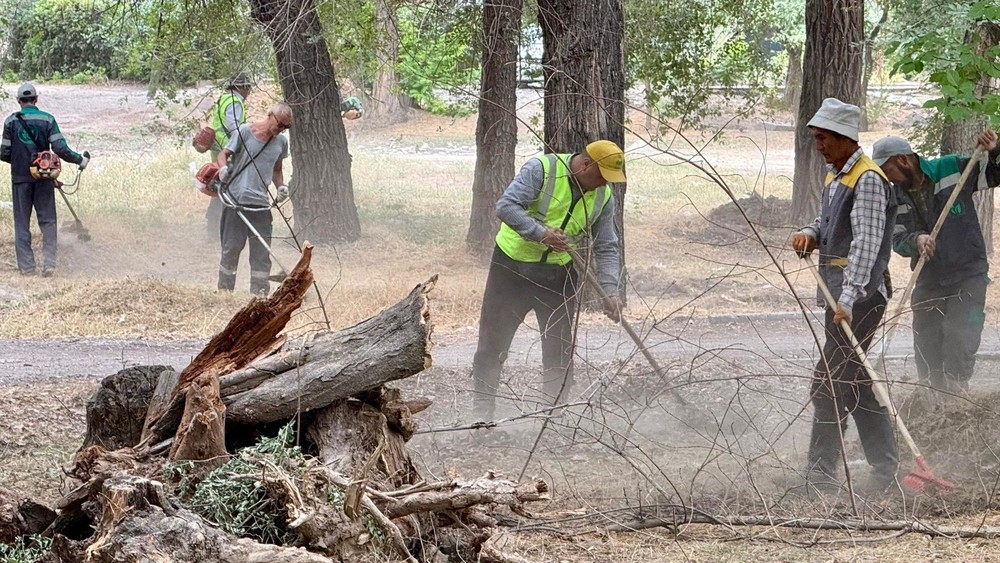 Иллюстративное фото