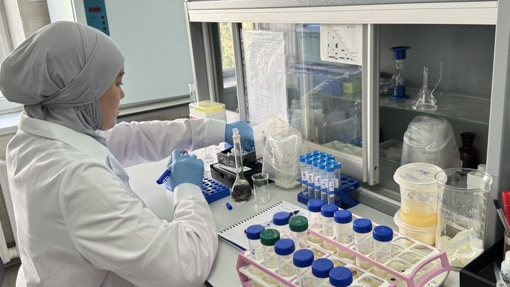 Иллюстративное фото