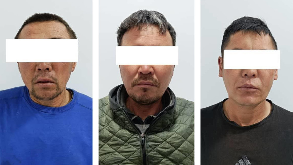 Подозреваемые