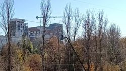 На территории Ботсада на Горького вырубают деревья. Видео