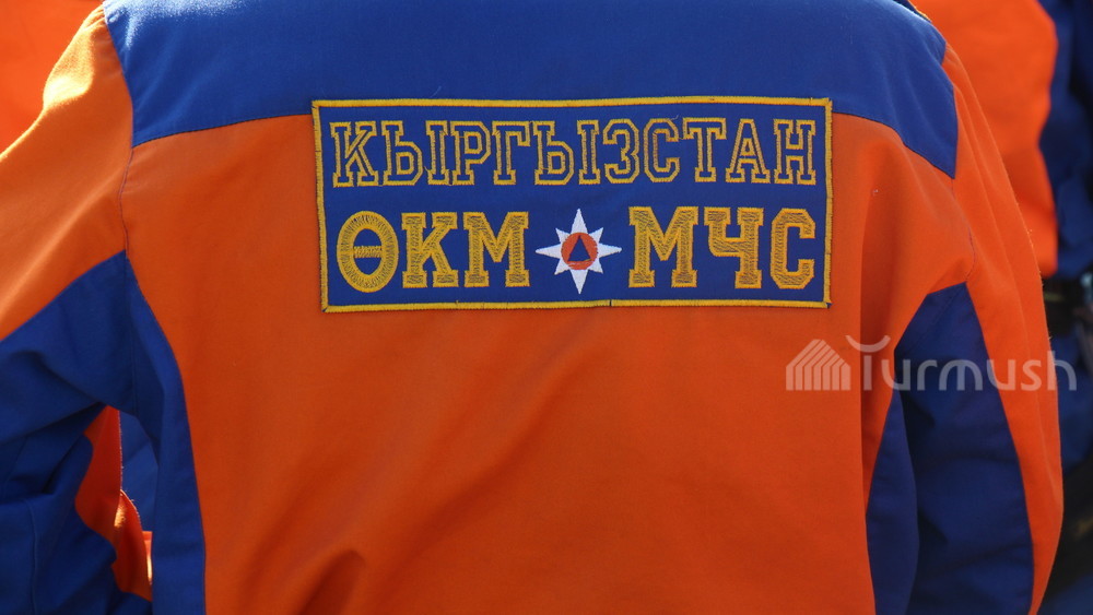 Иллюстративное фото