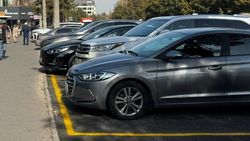 На Юнусалиева вырубили деревья для парковки: Вырубку производил «Бишкекзеленстрой» с согласованием Минприроды На Юнусалиева вырубили деревья для парковки: Вырубку производил «Бишкекзеленстрой» с согласованием Минприроды