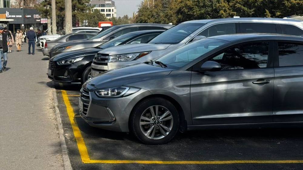 На Юнусалиева вырубили деревья для парковки: Вырубку производил «Бишкекзеленстрой» с согласованием Минприроды