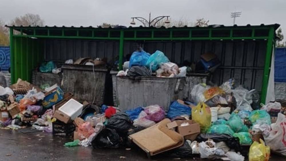 Мусорка на Мичурина снова забита. Фото