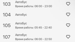 Планируется ли запуск автобуса №106? - горожанин