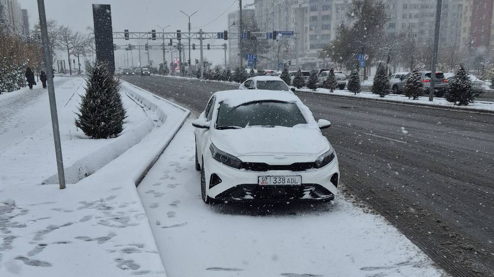 «Киа» стоит у остановке, мешая автобусам. Видео