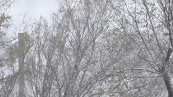 В 8 мкр нет ни отопления, ни горячей воды. Видео горожанки