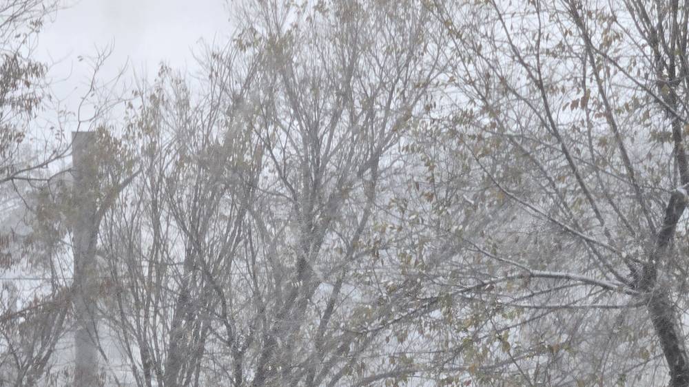 В 8 мкр нет ни отопления, ни горячей воды. Видео горожанки