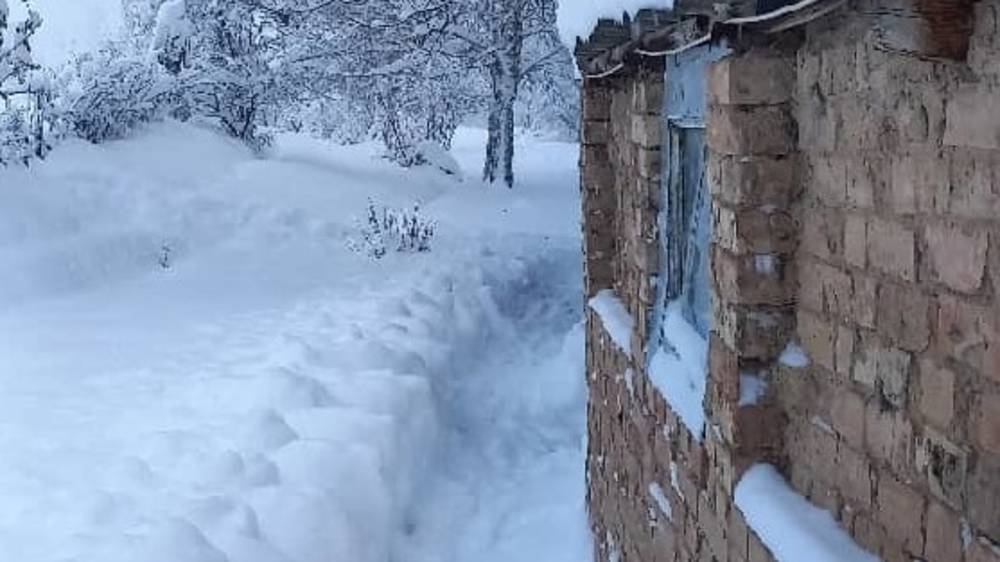 В Аксуйском урочище выпало 35-40 см снега. Видео жителей