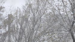 В 8 мкр нет ни отопления, ни горячей воды. Ответ мэрии