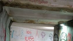 С потолка путепровода на Айтматова капает вода. Фото горожанина