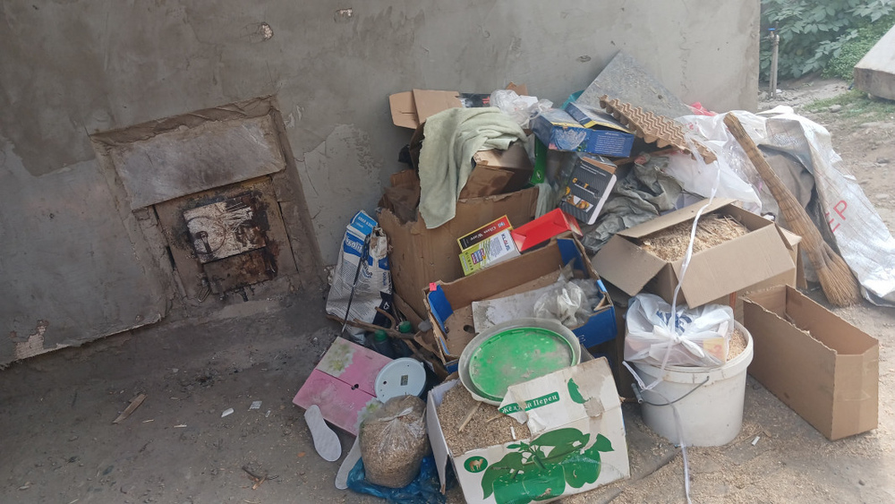 Иллюстративное фото