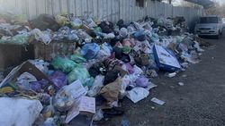 Гора мусора возле стройки на Фучика. Фото