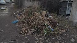 Горожане просят убрать листву, собранную после субботника. Фото