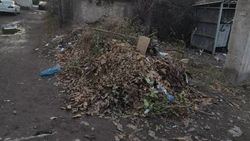 Горожане просят убрать листву, собранную после субботника. Ответ «Тазалыка»