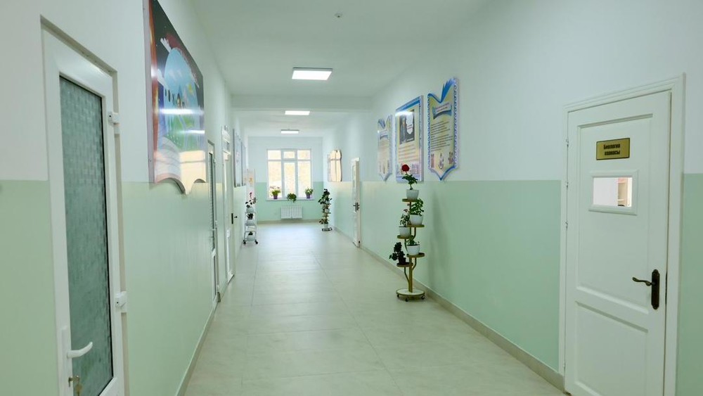 Иллюстративное фото