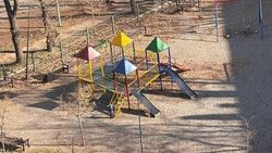 Почему спилили здоровое дерево на Токтоналиева? - горожанин