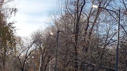 В мэрии рассказали, почему в 6 мкр днем горят фонари