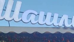 На территории шашлычной в 11 мкр спилили дерево. Фото