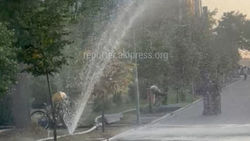 В системе полива на Южной магистрали произошел сбой и фонтан полил тротуар. Ответ мэрии