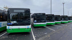 Новые 95 автобусов на газе прибудут в Бишкек в декабре, - мэрия