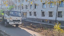 Горожанин интересуется, законно ли спилили деревья на территории Академии наук