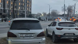 14 машин стоят в зеленой зоне на Гагарина. Фото 14 машин стоят в зеленой зоне на Гагарина. Фото