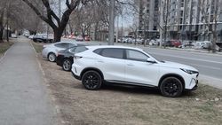 В зеленой зоне на Гагарина стоят 13 машин. Фото В зеленой зоне на Гагарина стоят 13 машин. Фото