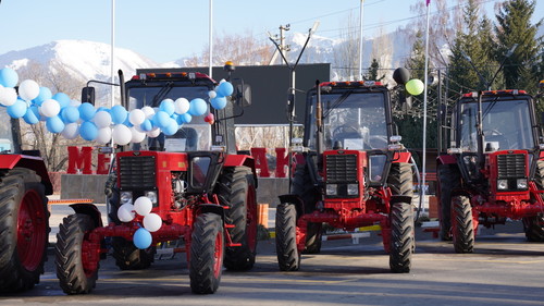 производство картофеля