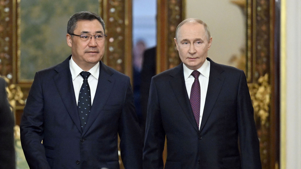 Иллюстративное фото