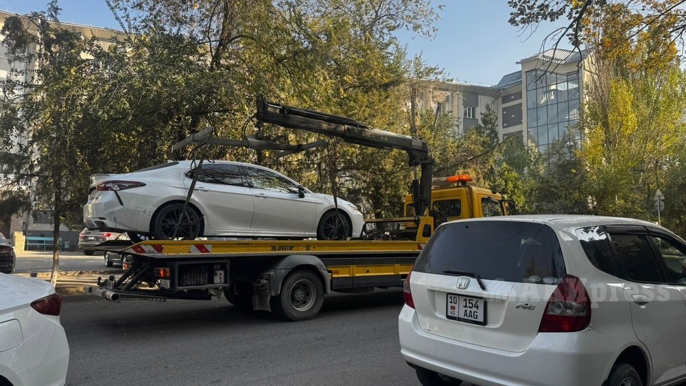 Иллюстративное фото