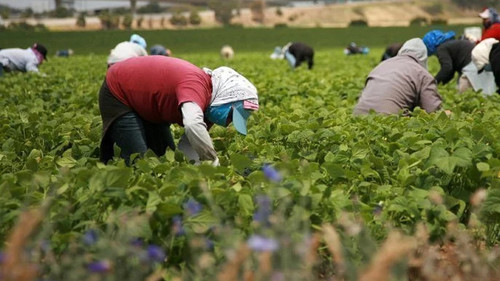 Аппарат Президента