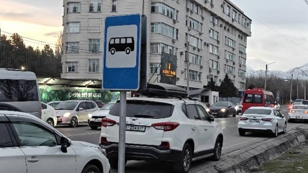 На Токтоналиева есть знак остановки, но самой остановки нет. Фото ...