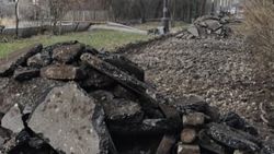 В парке Ататюрка хотят сделать дорогу? - горожанин
