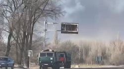 В Токмоке горит лесопосадка. Видео