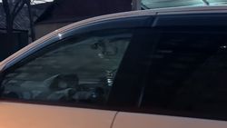 Водитель «Тойоты» смотрит видео за рулем. Фото