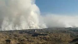 Третий день горит свалка Канта. Видео