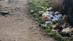 Мусор в Чимкентском переулке. Фото