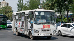 В мэрии ответили горожанину, который предлагает убрать автобусы Isuzu с главных улиц