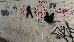 Горожанин просит покрасить подземку на Байтик Баатыра. Фото