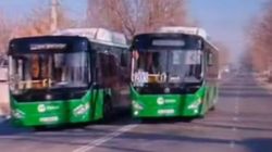 Автобус №203 выехал на встречную полосу, обгоняя другой автобус. Видео