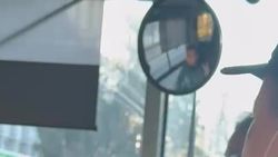 Водитель автобуса №222 на английском языке рассказывает иностранцам правила проезда. Видео