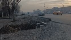 Житель Лебединовки жалуется на строймусор. Фото