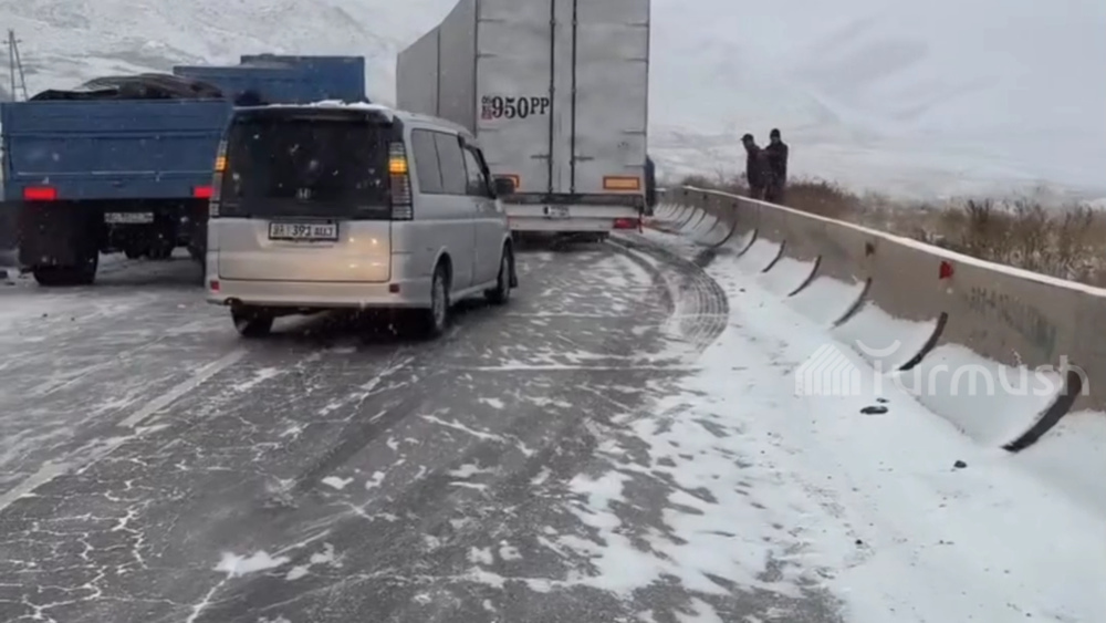 Иллюстративное фото